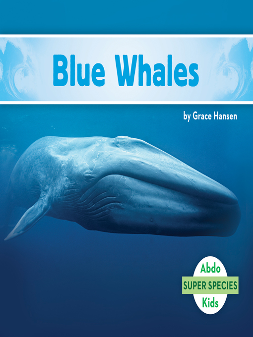 Title details for Blue Whales by Grace Hansen - Available